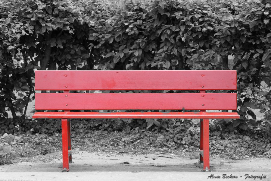 img_0213_b.jpg img_0213_b.jpg