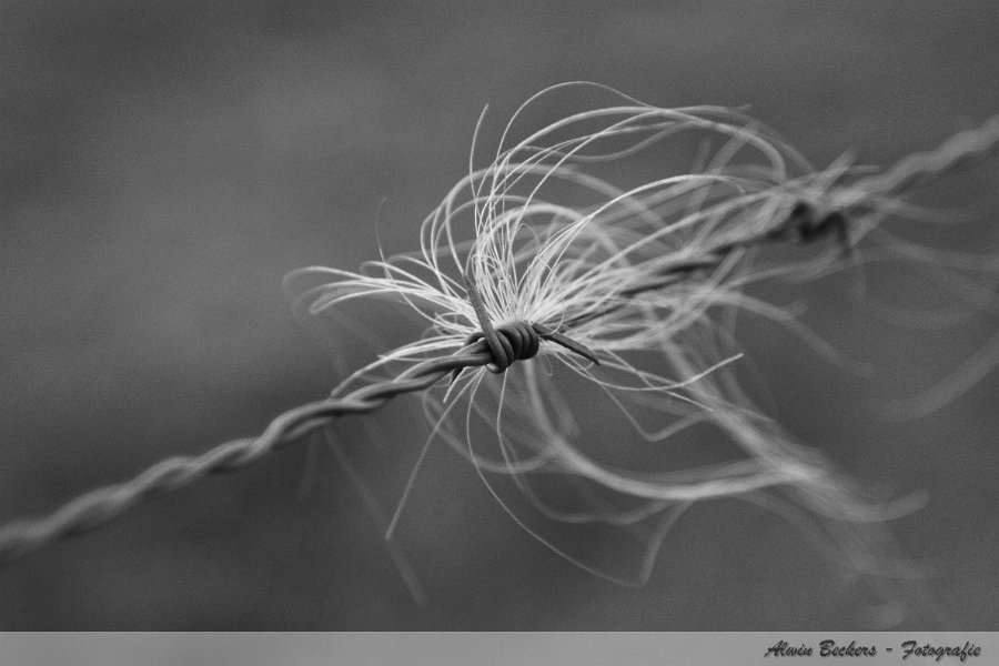 img_5722.jpg img_5722.jpg